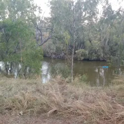 Macintyre River - Goondiwindi