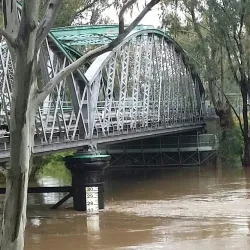 Macintyre River - Goondiwindi