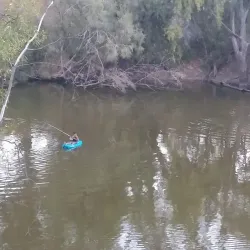 Macintyre River - Goondiwindi