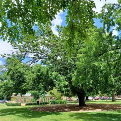 Belmore Park - Goulburn