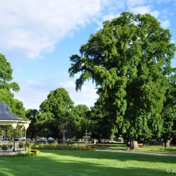 Belmore Park - Goulburn
