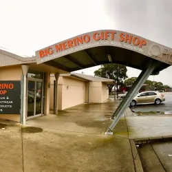 Big Merino - Goulburn