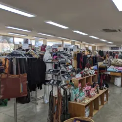 Big Merino - Goulburn