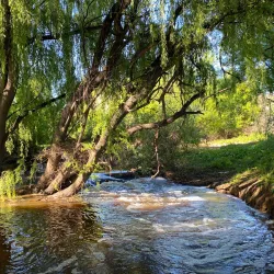 Riversdale Historic Homestead - Goulburn
