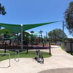 Jacaranda Festival - Grafton