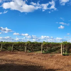 De Bortoli Wines - Griffith