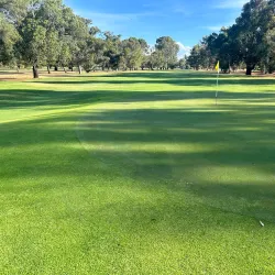 Griffith Golf Club - Griffith