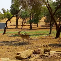 Lake Wyangan - Griffith