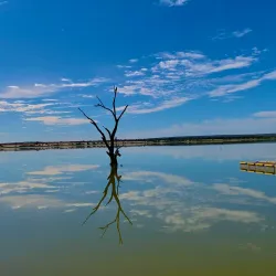 Lake Wyangan - Griffith