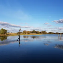 Lake Wyangan - Griffith