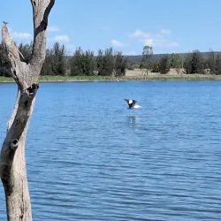 Lake Wyangan - Griffith