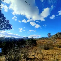 Murrumbidgee River Walk - Griffith