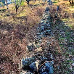Murrumbidgee River Walk - Griffith