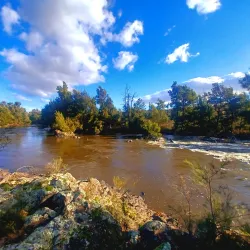 Murrumbidgee River Walk - Griffith