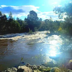 Murrumbidgee River Walk - Griffith