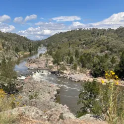 Murrumbidgee River Walk - Griffith