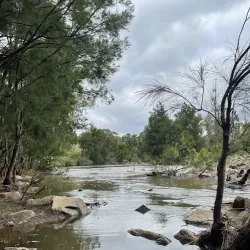 Murrumbidgee River Walk - Griffith