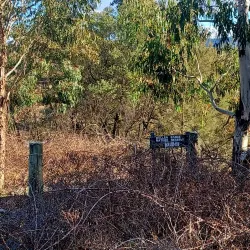 Murrumbidgee River Walk - Griffith