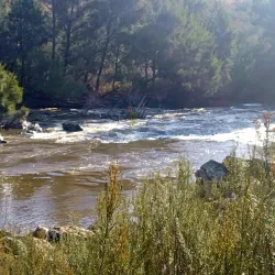 Murrumbidgee River Walk - Griffith