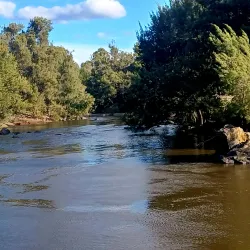 Murrumbidgee River Walk - Griffith