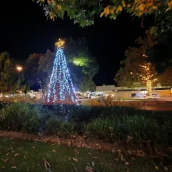 Sir John Sleeman Park - Griffith