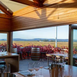 Yarran Wines - Griffith