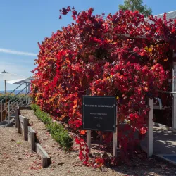 Yarran Wines - Griffith