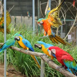 Gympie Botanic Gardens - Gympie