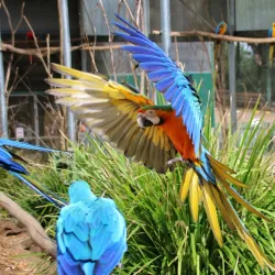 Gympie Botanic Gardens - Gympie