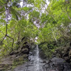 Gympie Botanic Gardens - Gympie