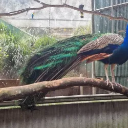 Gympie Botanic Gardens - Gympie