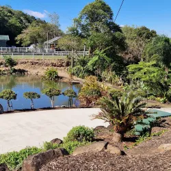 Gympie Botanic Gardens - Gympie