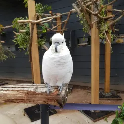 Gympie Botanic Gardens - Gympie