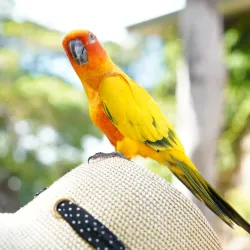 Gympie Botanic Gardens - Gympie