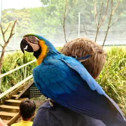 Gympie Botanic Gardens - Gympie