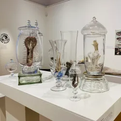 Gympie Regional Gallery - Gympie