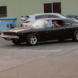 Gympie Showgrounds - Gympie