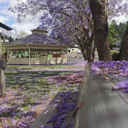 Lake Alford Park - Gympie