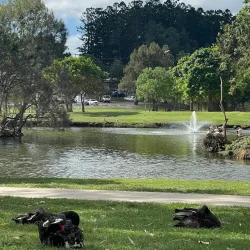 Lake Alford Park - Gympie