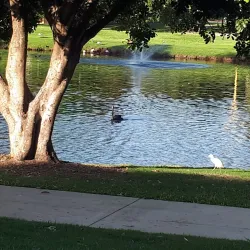 Lake Alford Park - Gympie