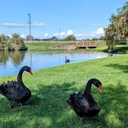 Lake Alford Park - Gympie