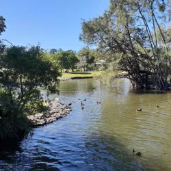 Lake Alford Park - Gympie