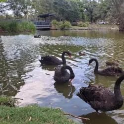 Lake Alford Park - Gympie