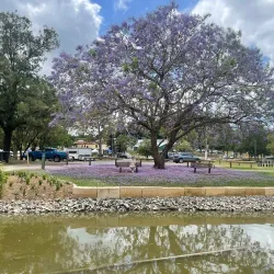 Lake Alford Park - Gympie