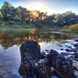Mary River Walk - Gympie
