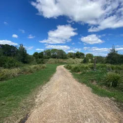 Mary River Walk - Gympie