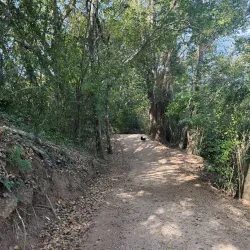 Mary River Walk - Gympie