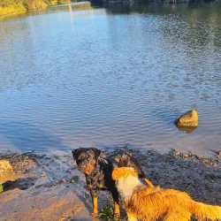 Mary River Walk - Gympie