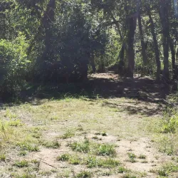 Mary River Walk - Gympie