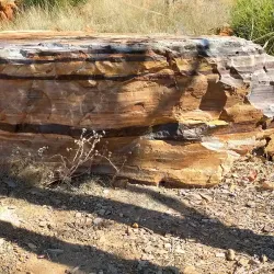 China Wall - Halls Creek